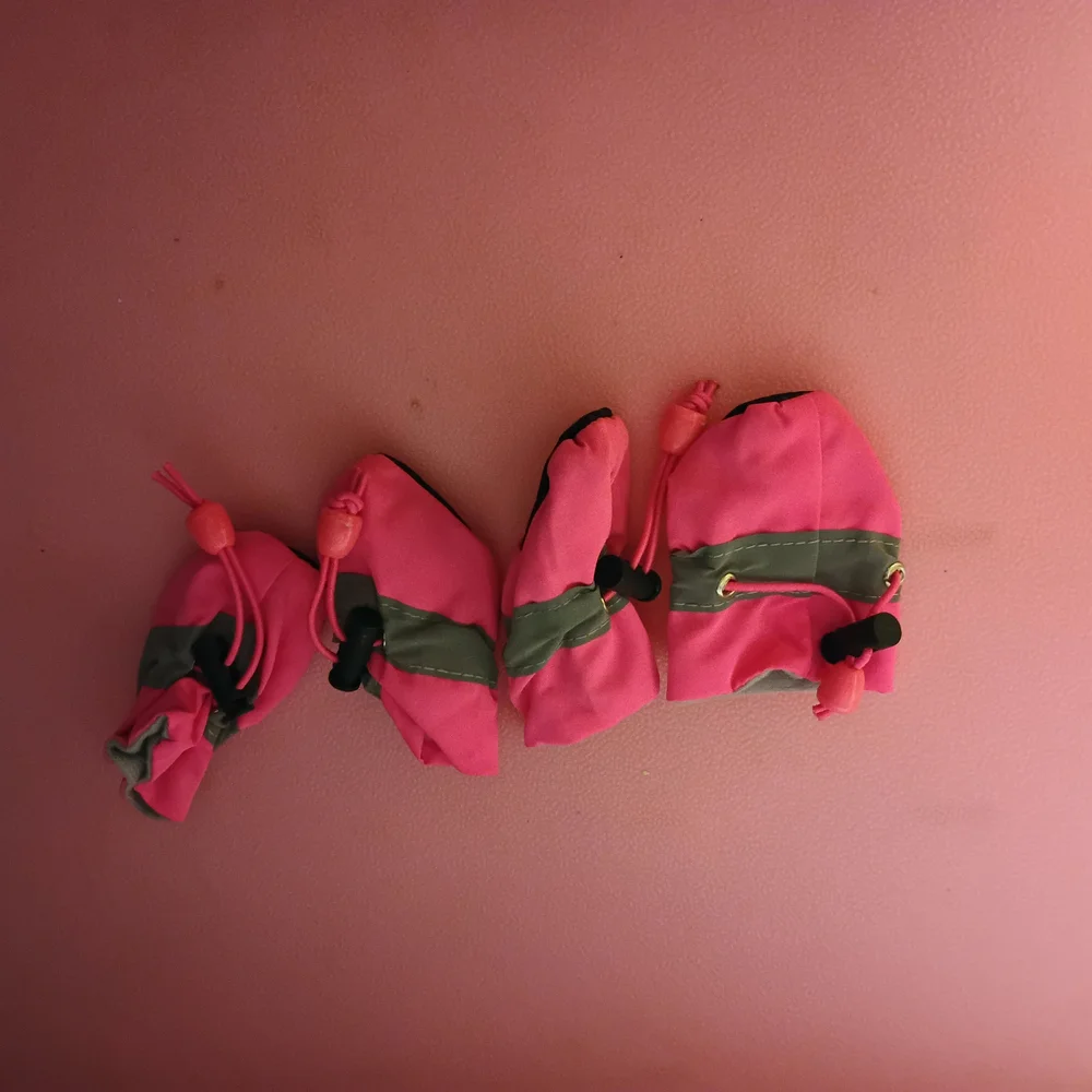 Stylish Pink and Green Dog Booties